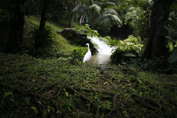 [malaysia 2010]