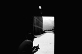 [S(2) japanese camera]