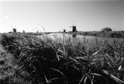 [kinderdijk]