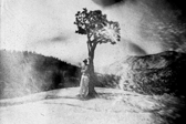 [yosemite]