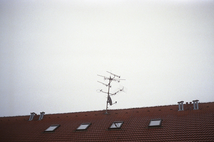 [rijen/october]