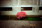 [S(4) rubbish]