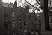 [S(2) hampstead]