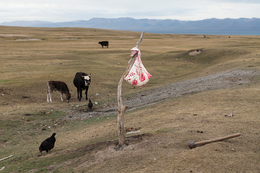 [kyrgyzstan]