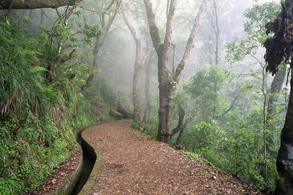 [Madeira]