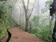 [Madeira]