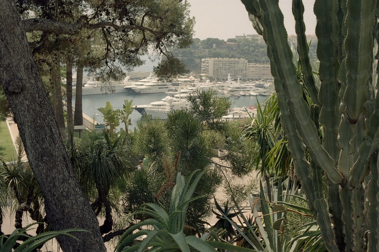 [Côte d'Azur]