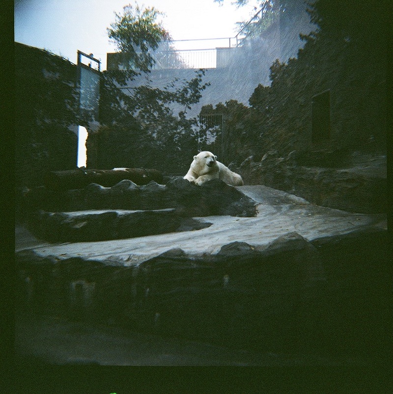 [mOje malá lOmO zOO]